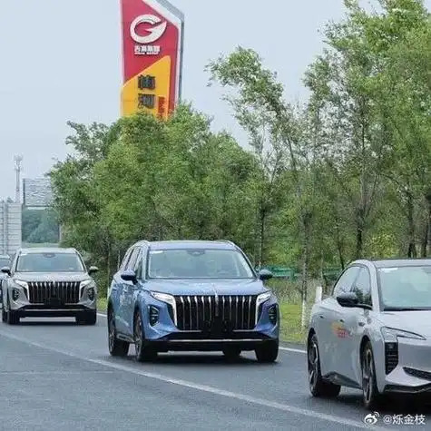 红旗汽车新能源车 红旗汽车新能源车价格及图片