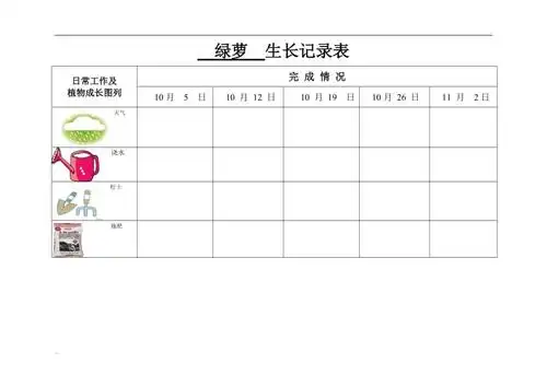 幼儿园绿萝生长记录表