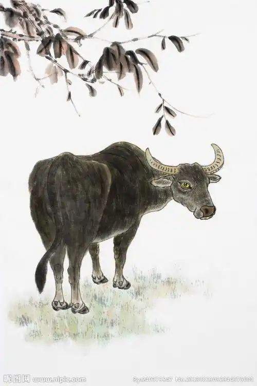 绘画牛图片