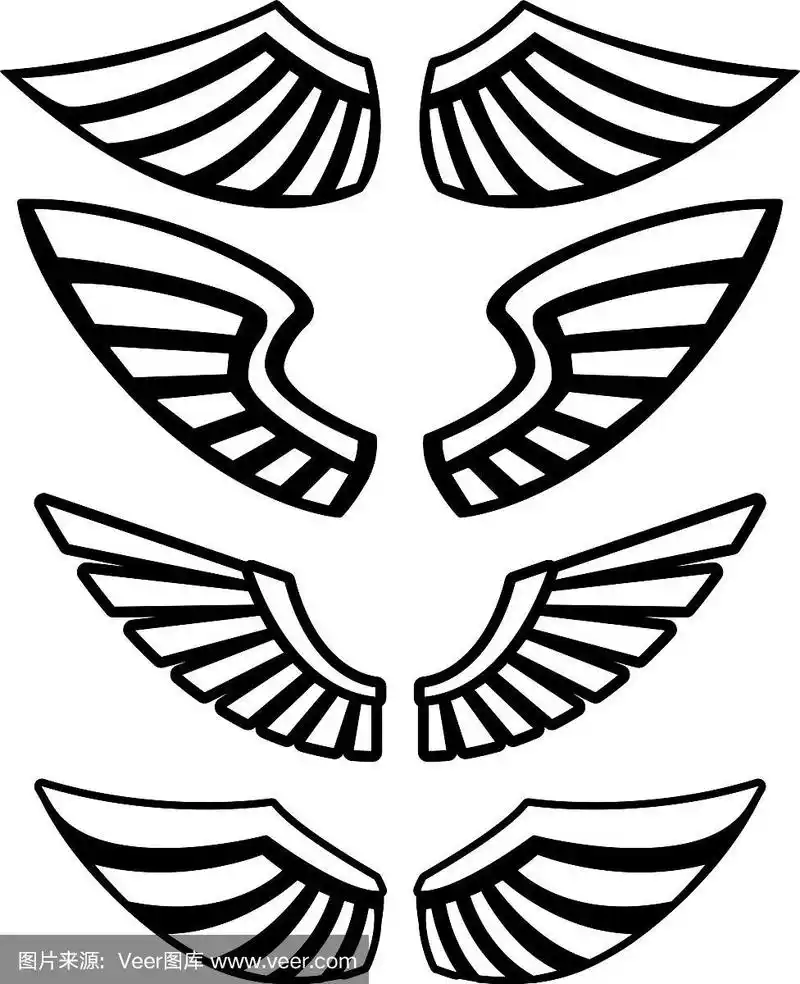 机翼孤立在白色背景设计
