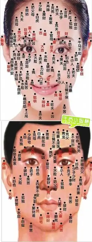 上唇痣图片(面部10处恶痣)