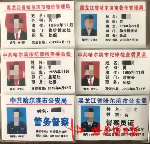 哈尔滨男子冒充市纪检委处长与人交往并骗取钱财被刑拘