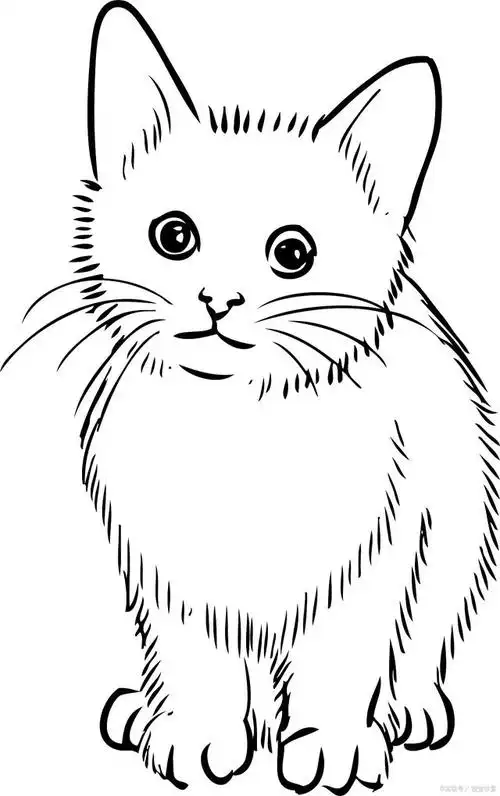 小学生必备!10种简单易学的猫简笔画教程