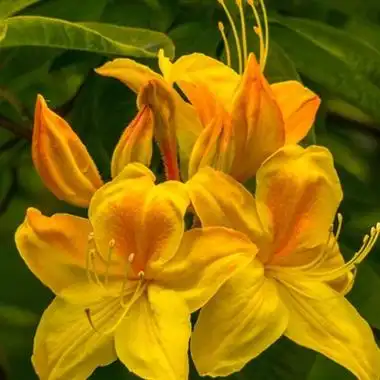 好看的头像妈妈专用(精选22张)