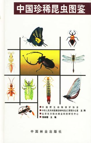 中国珍稀昆虫图鉴 陈树椿【正版图书,放心购买】