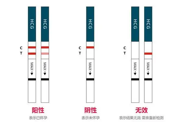 试纸多久能测出来怀孕姨妈期已过七天试纸没反应