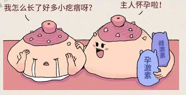 还会凸起它大概就米粒大小首先见过这种小颗粒的都知道女生乳头上的