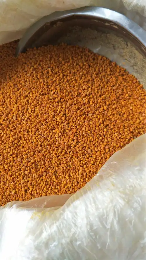 新鲜茶花粉自产自销食用纯正活性天然蜂花粉500g茶花纯粉