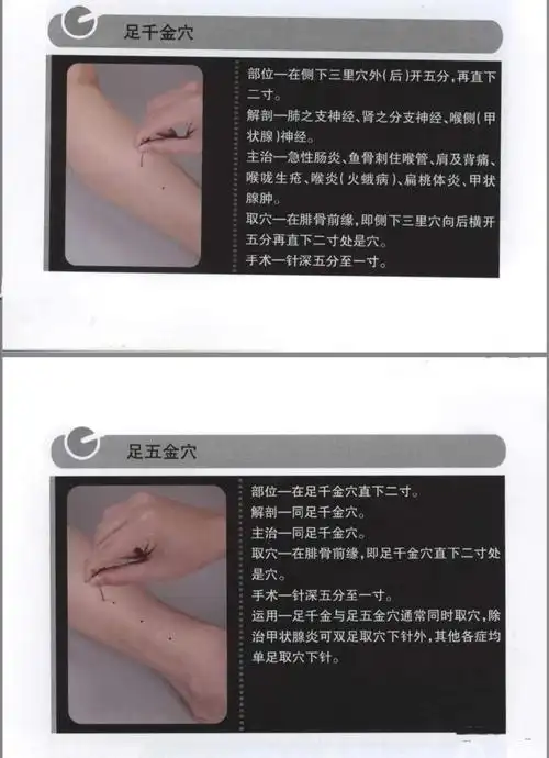 定位如图定位如图指,手,足五金,千金穴【思考与建议】:小孩流涎多因为