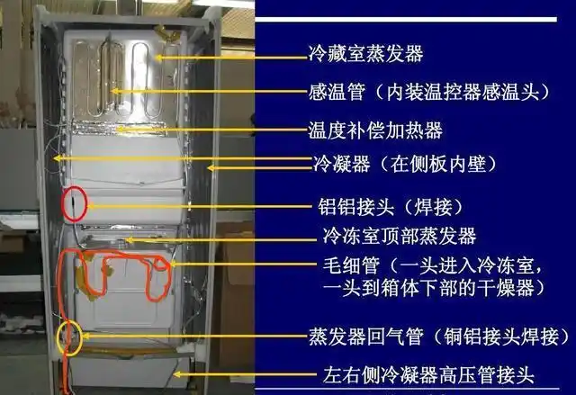 冰箱是典型的奴才命用3个月就断一次电只会让它坏得更快