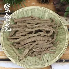 紫金龙中药材云南野生紫金龙 申枝莲 豌豆七 川山七