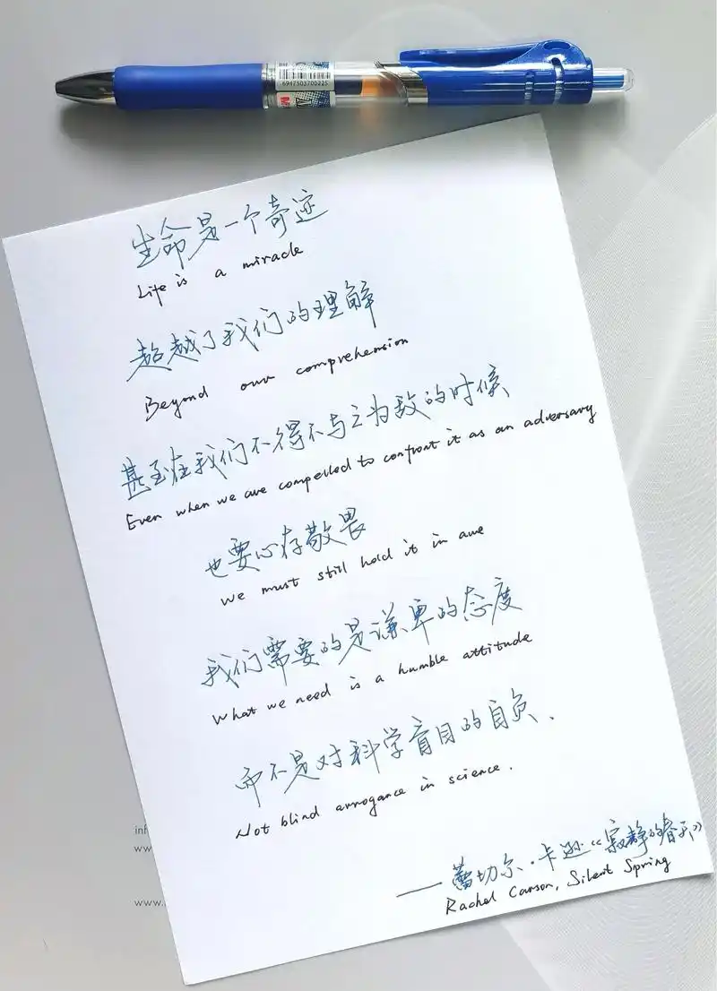 生命是一个奇迹,超越了我们的理解.#文字的魅力 #手写字体