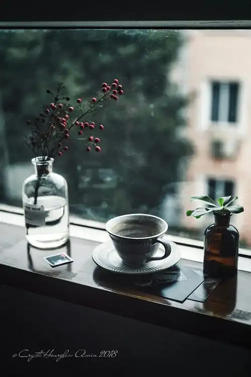 可以安静的在窗前喝咖啡,看飘雪,真好.