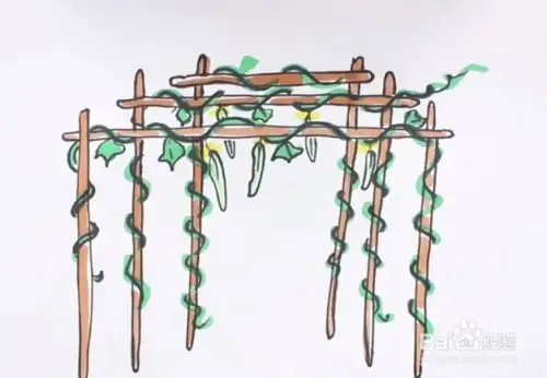 屋前搭瓜架怎么画
