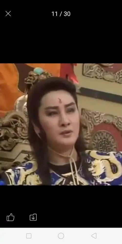 杨丽花歌仔戏图片!