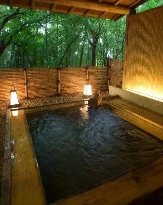 喧闹假期去这些私密温泉酒店偷个闲