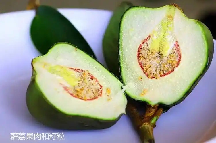 还记得儿时凉粉的味道吗?它是薜荔果的浆汁做成的美味.堪比旧版喜之郎