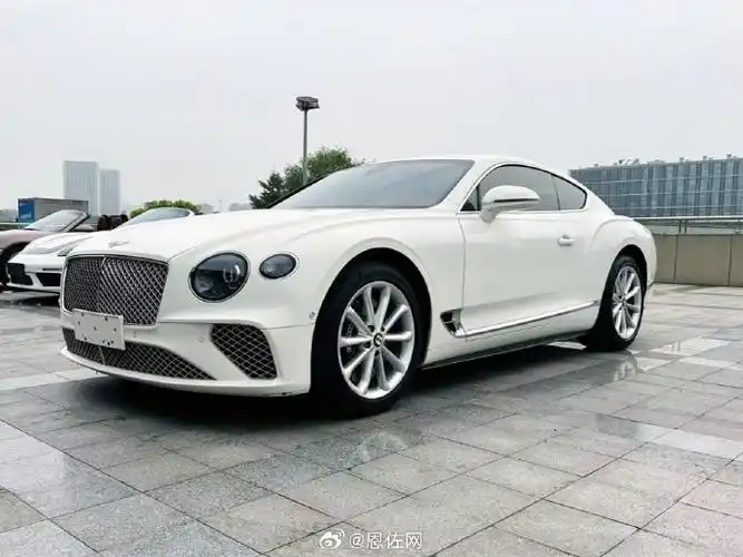 宾利 欧陆 gt v8 白外/红内