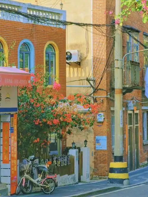 温柔半两从容一生拍摄地厦门华新路