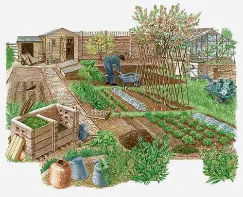 家庭农场虽小但还需注意这些规划小细节农场主不难学