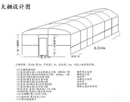 谁有连体大棚设计图纸