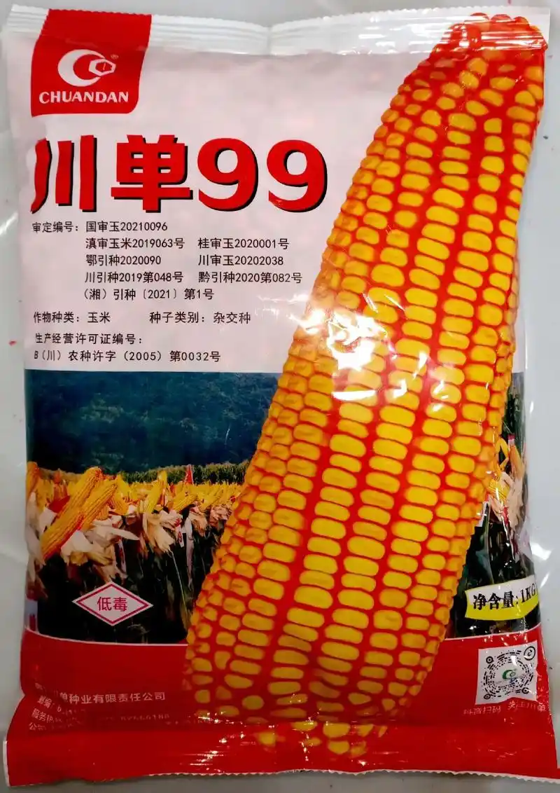 大湾镇丰盛商贸玉米种植标准      标.#高产玉米种子 # - 抖音