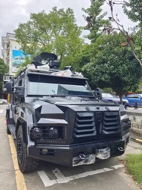 酷毙了的特警车