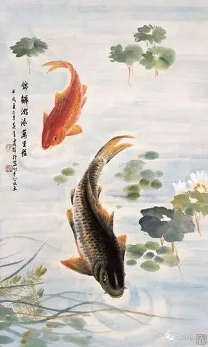 工笔画鱼,这几位是高手!_鲤鱼