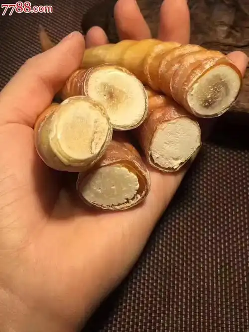 羊角小摆件度左右度8