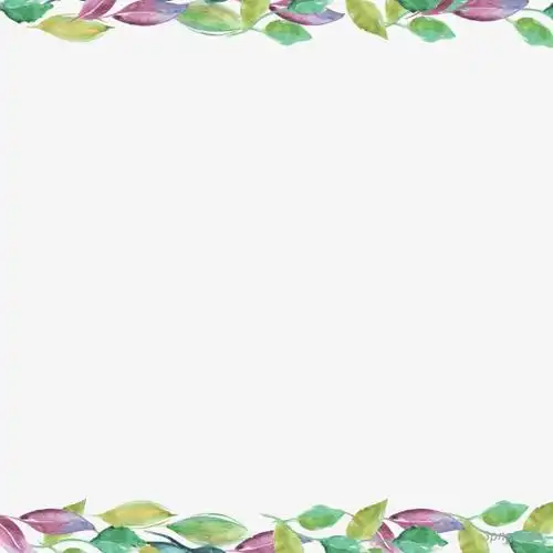 水彩叶子的可爱边框png素材透明免抠图片装饰效果