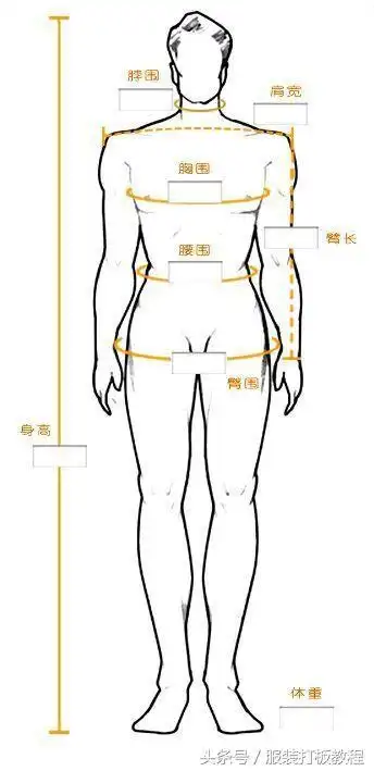 肩宽怎么量服装量法及技巧
