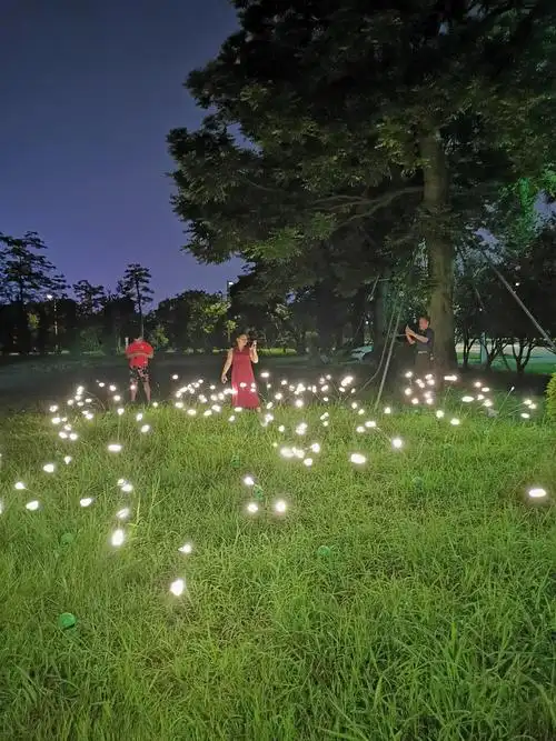 铭星专利产品草坪景观灯光装饰led防水萤火虫小品灯