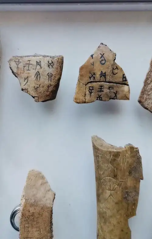 朋友藏品——甲骨文片