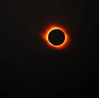 争抢"黑日"商机 20对新人见证日月同辉(图)