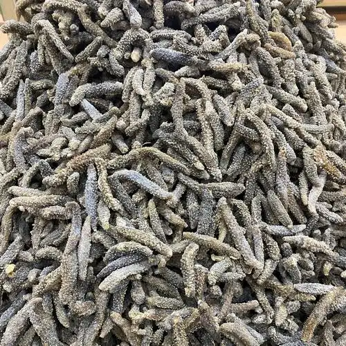 印尼小刺参刺秃参海参泡发率高小米刺口感好小白刺110头干货批发