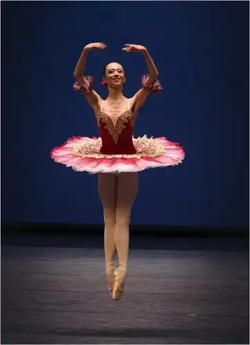 看了这场芭蕾舞,老司机解锁了各种姿势