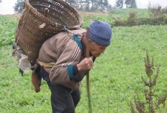 农村老人说:头无脑油脚无汗,到老都是穷光蛋.这句话怎么理解?