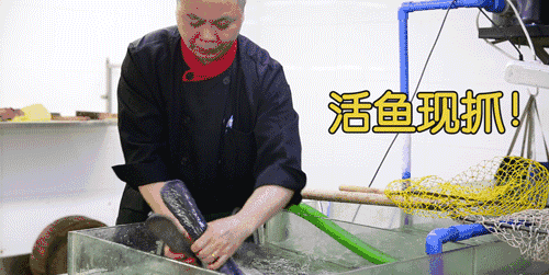 满满一池鸭嘴鱼,全部都活蹦乱跳,平均每条有3-4斤重,现点现杀保证鲜活