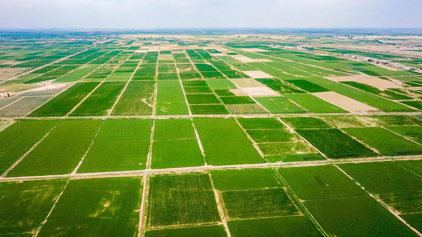 夏日河套平原美