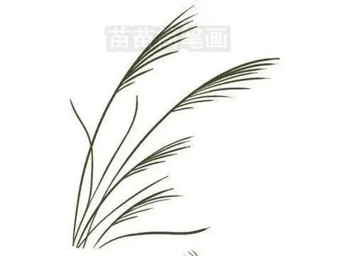 芦苇简笔画图片大全教程