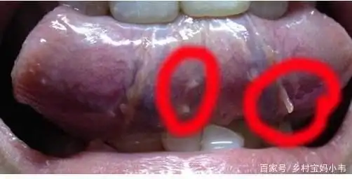 不起眼的盐,用处有很多,你知道多少