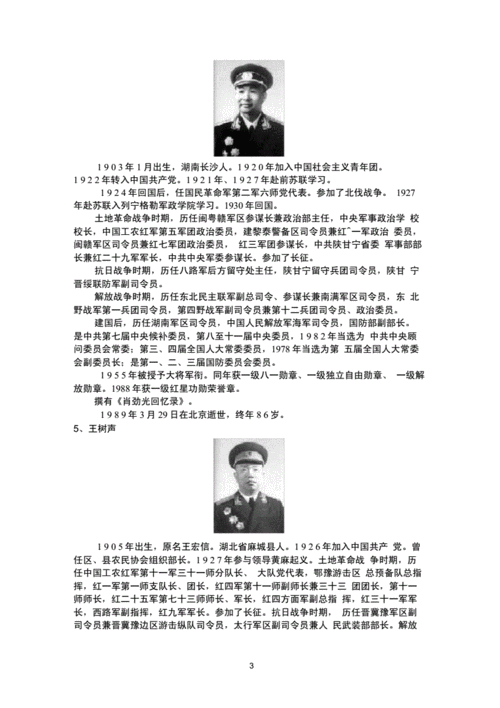 最新中国十大将军简介docx7页