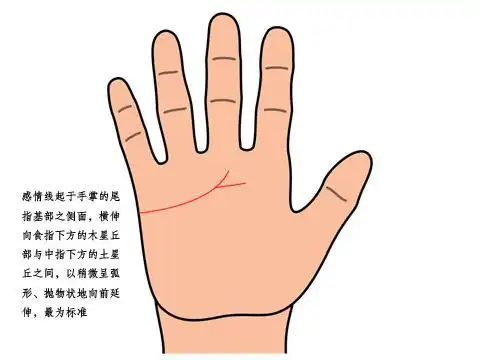 感情线有分叉代表什么请看图解等你来验证上篇