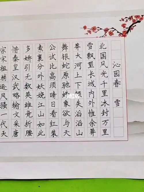 沁园春雪硬笔书法