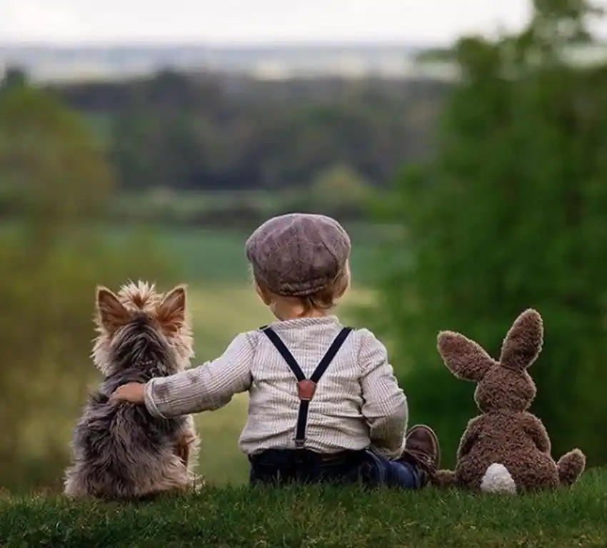 超萌小男孩携爱犬游欧洲组图融化全网,他们活成了我们期望的样子|狗狗