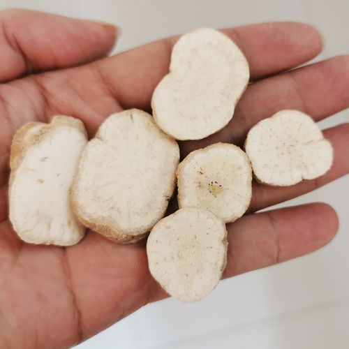 栝楼根瓜蒌根中药材天花花粉散装无硫栝蒌根250克满其他药食同源食品