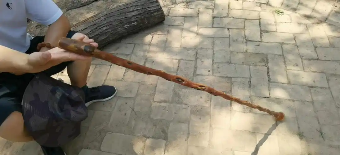 野酸枣木一自然的魅力.