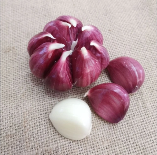 云南紫皮大蒜多瓣蒜新鲜湿大蒜头包邮干蒜蒜瓣蒜头5斤特产