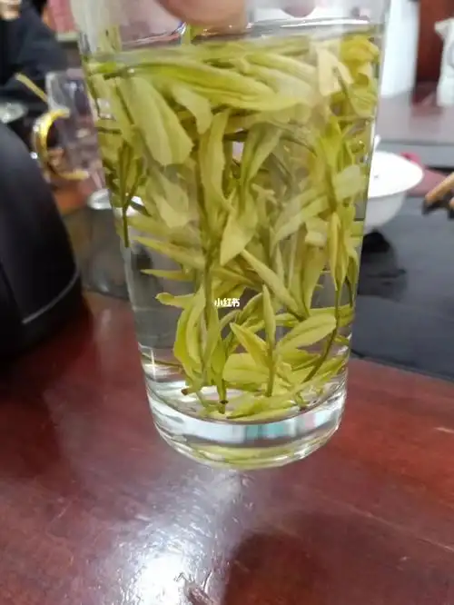 安吉白茶金镶玉