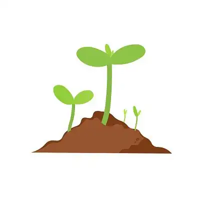 小草破土而出春天小草春天嫩芽发芽春天发芽春天植物发芽植物春天发芽